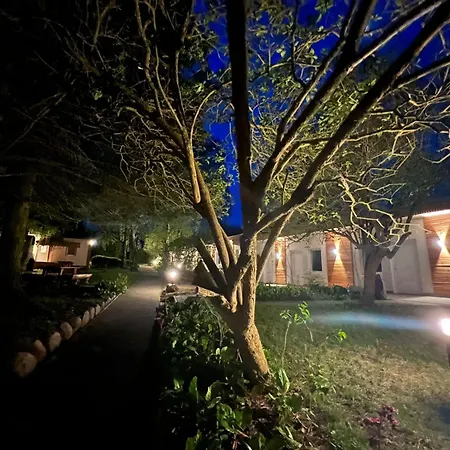 Forest * Benz (Usedom)