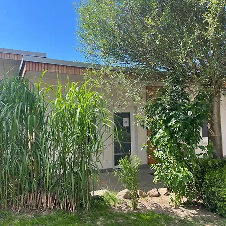 Forest Benz (Usedom)