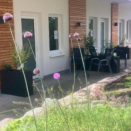 Forest Benz (Usedom)